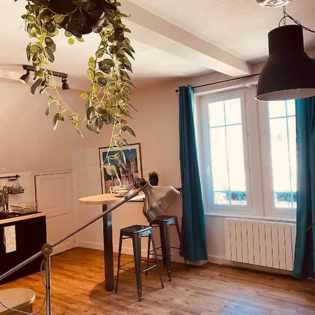 Apartment Under Roof Clermont-Ferrand