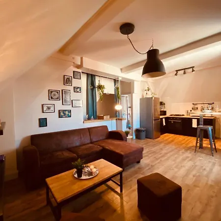 Under Roof Apartment Clermont-Ferrand