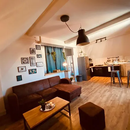 Apartment Under Roof *