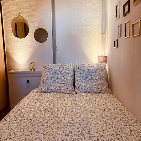 Apartment Under Roof