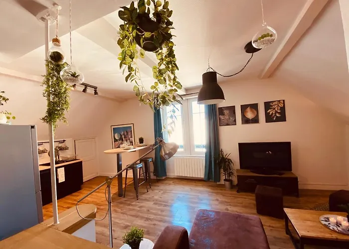 Apartment Under Roof *