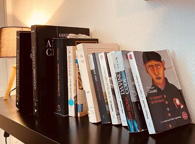 Apartment Under Roof *