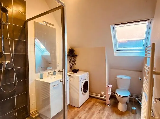 Apartment Under Roof *